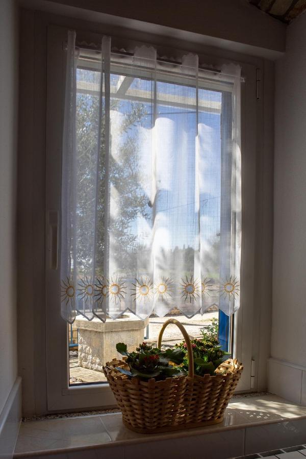Olive Tree Apartments 乌马格 外观 照片