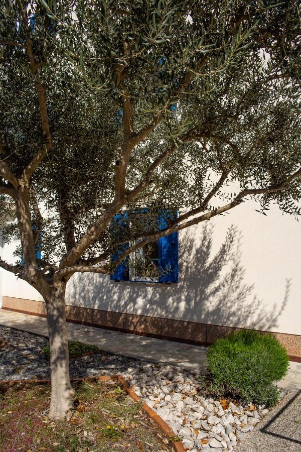 Olive Tree Apartments 乌马格 外观 照片